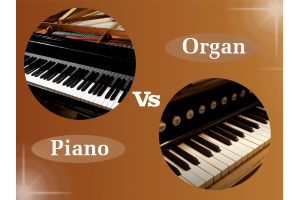 Sự khác nhua giữa đàn organ và piano như thế nào